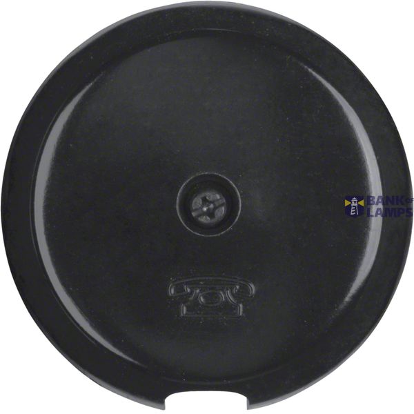 Central cable outlet, Series 1930/Glass, black image 1