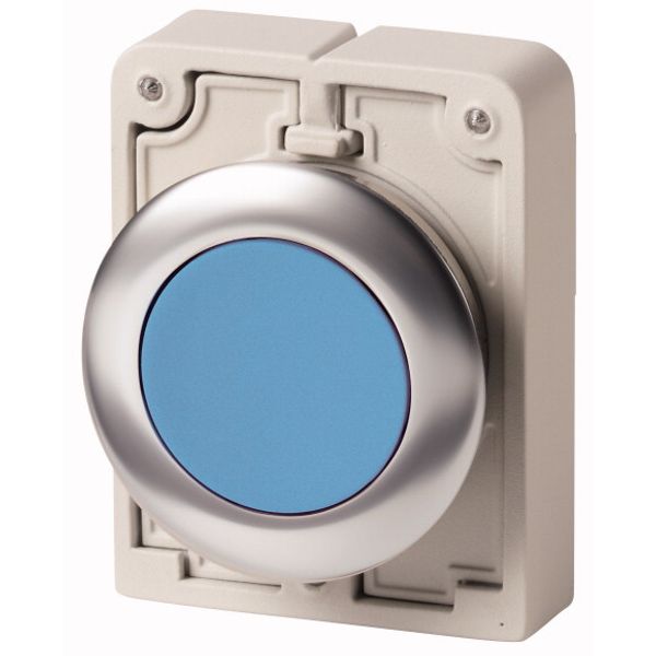 M30I-FDR-B Pushbutton, RMQ-Titan, flat, maintained, Blue, blank, Front ring stainless steel image 2