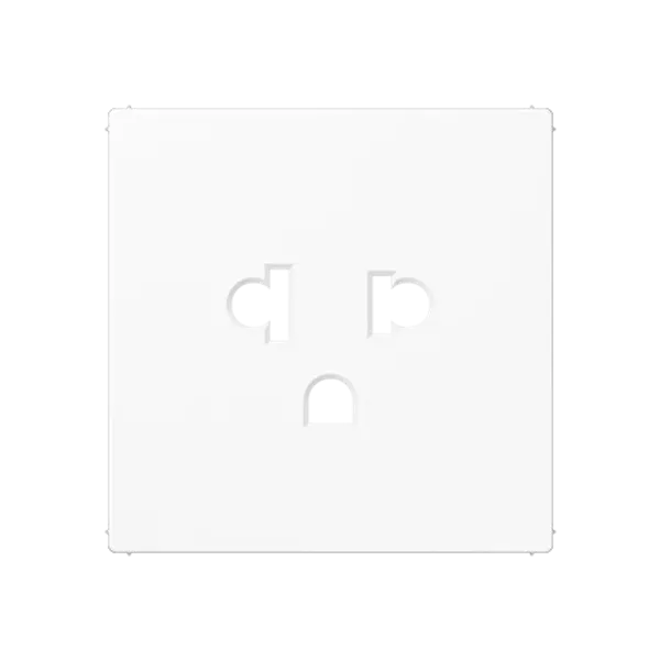 centre plate image 1