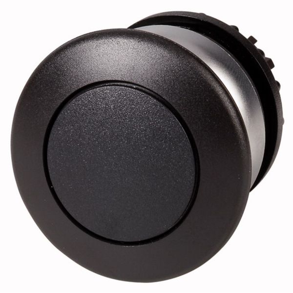 M22-DRP-S Mushroom actuator, RMQ-Titan, Mushroom, maintained, Mushroom black, black, Blank, Bezel: titanium image 1