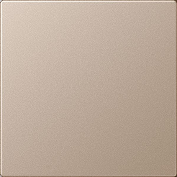 Blank centre plate A594-0PLCH image 2