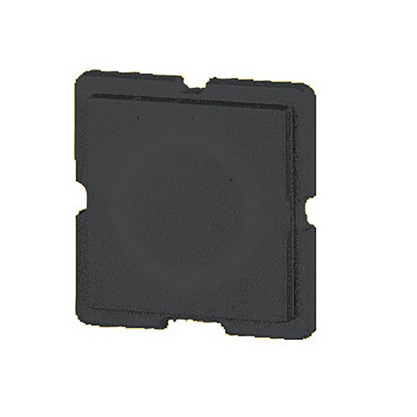 01TQ18 Button plate 18, black image 2