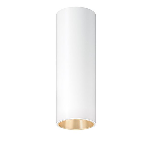 P-INF SC R100 1800-940 LDO GD WH - LED surface-mount ceiling luminaire image 1