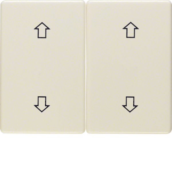 Rocker 2gang imprinted arrows symbol, arsys, white glossy image 3