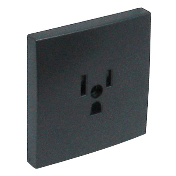 SAF C.PLATE F/EARTH SOCKET (USA NEMA) GRAY image 1
