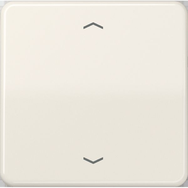 1-gang rocker CD590P image 10