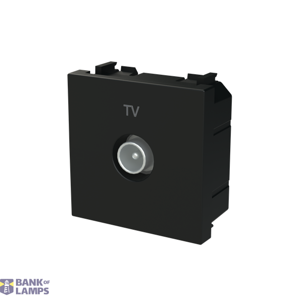 N2250.7 NT - TV socket Male terminal image 2