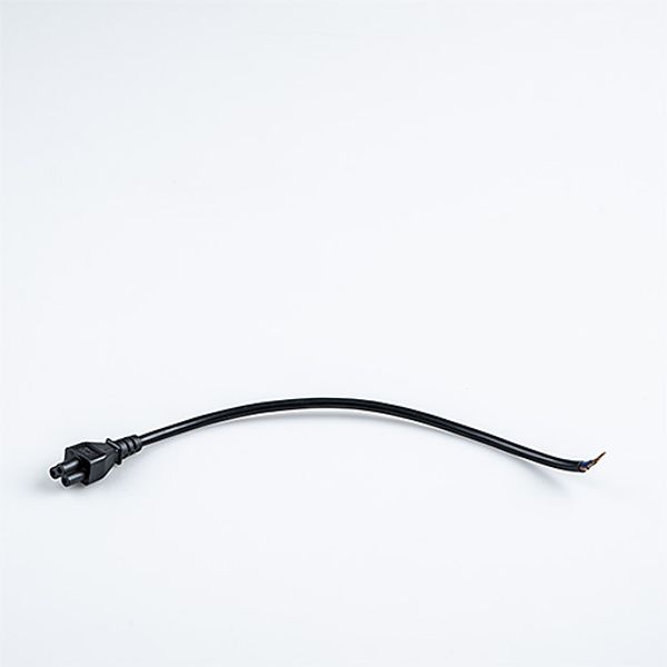 EQUAMINI SIDE FEED IN CABLE 300MM - Cable image 1