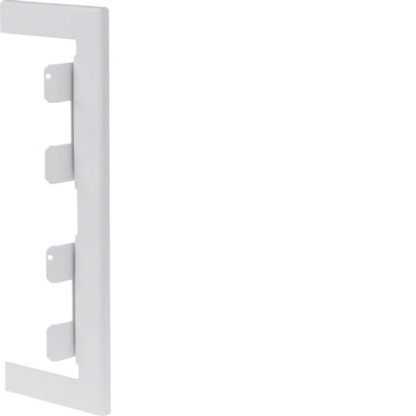 Wall cover plate for BRS 68x210mm lid 2x80mm of sheet steel in pure white image 1