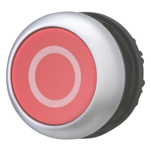M22-D-R-X0 Pushbutton, RMQ-Titan, Flat, momentary, red, inscribed, Bezel: titanium image 3