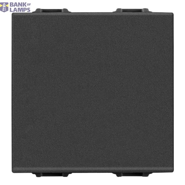 2M Blank module carbon matt image 1