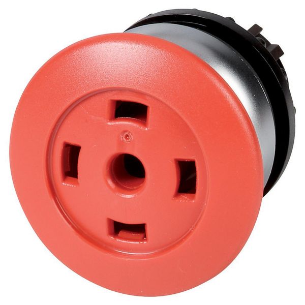 M22-DP-R-X Mushroom actuator, RMQ-Titan, Mushroom, momentary, Mushroom red, Without button plate, Bezel: titanium image 2