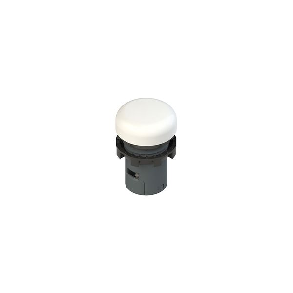 Illuminated monolithic indicator image 1