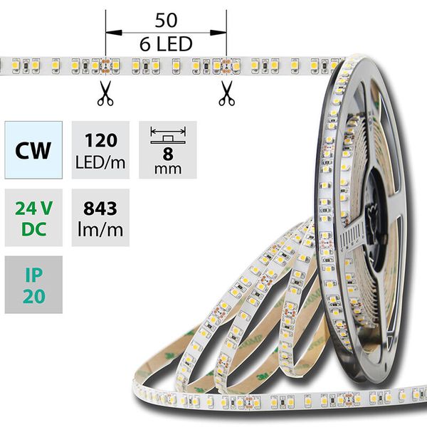 LED strip SMD3528 cold white, 120LED/m, IP20, DC 24V, 8mm, 50m image 1