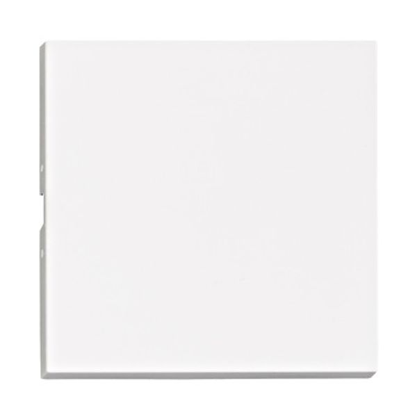 Rocker S 55, white image 1