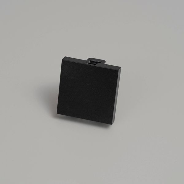 BLANK MODULE / 45 MM / BLACK image 1
