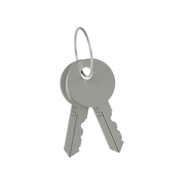 Set of two locking keys image 1