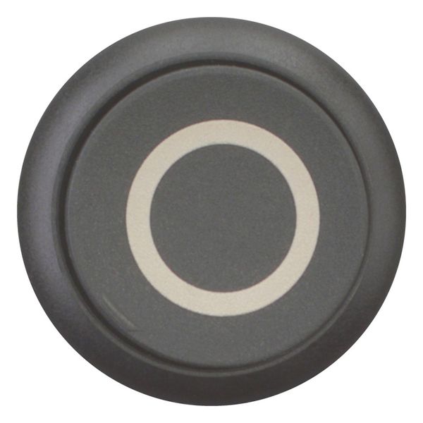 M22S-DRH-S-X0 Pushbutton, RMQ-Titan, Extended, maintained, black, inscribed, Bezel: black image 3