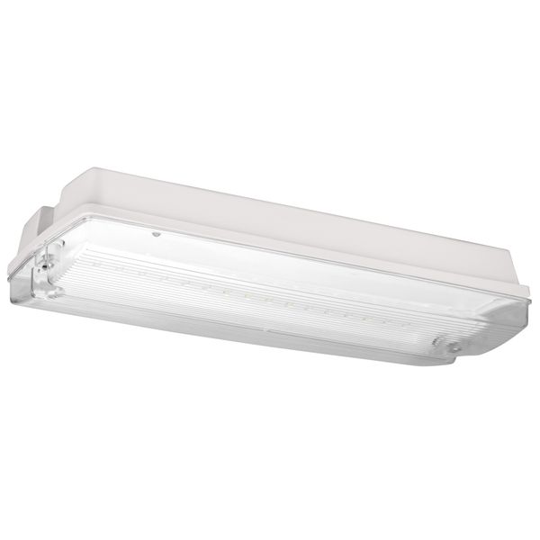 Self-contained luminaire K5 LED 3h 230V AC universal image 4