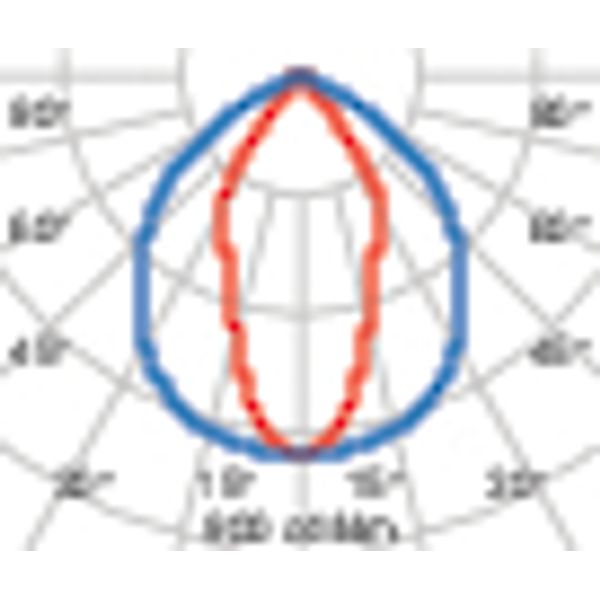 GUELL1 51 S/W 830 GR94 DALI image 5