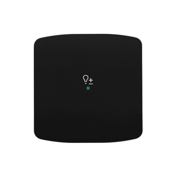 Rocker, 1gang, with “Dimmer” icon image 1