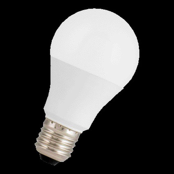 LED A60 E27 12-60V AC/DC 7W 3000K image 2