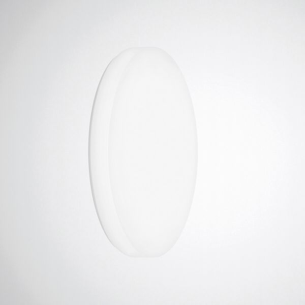 Wall and ceiling luminaire Olisq R Diffuser White around ETDD 31W 3800lm Lambertian (L) IP40 IK03 3 SDCM image 1