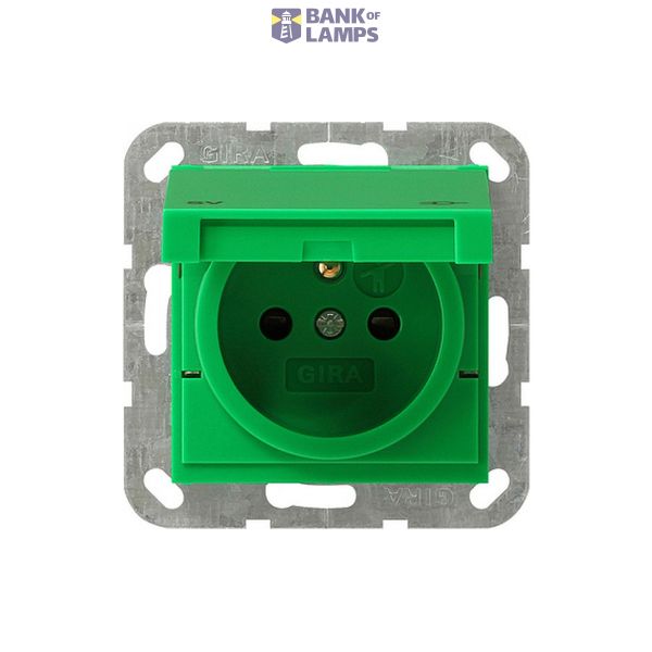 sock. earth pin + SH System 55 green image 1