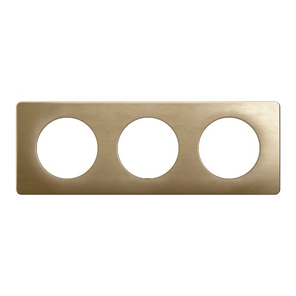 PLATE 3 GANG SATIN BRONZE image 6