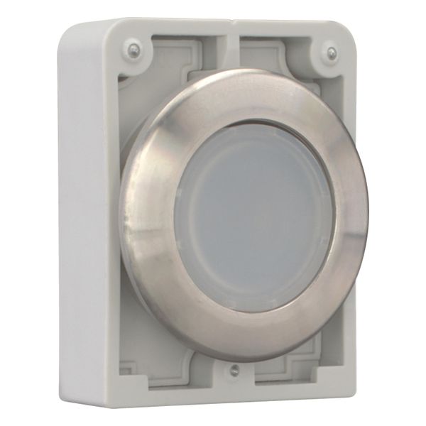 M30I-FDL-W Illuminated pushbutton actuator, RMQ-Titan, flat, momentary, White, blank, Front ring stainless steel image 12