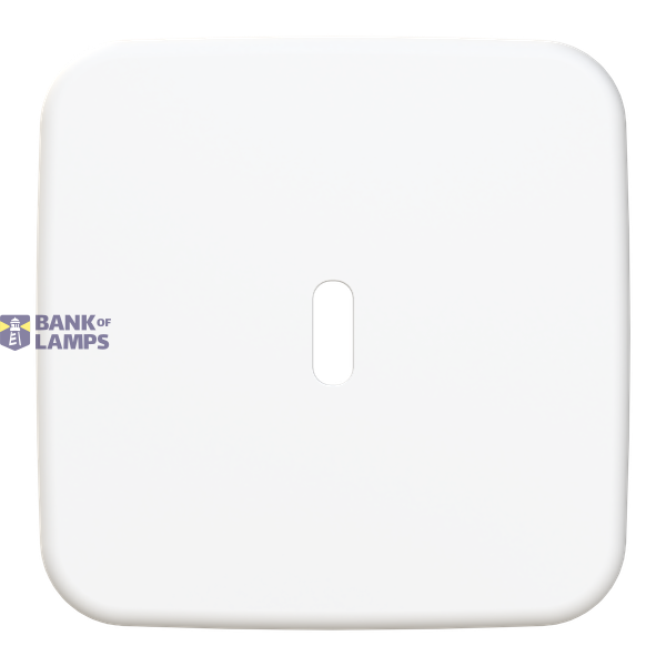 6479-214-510 Cover plate for USB C power adapter image 1