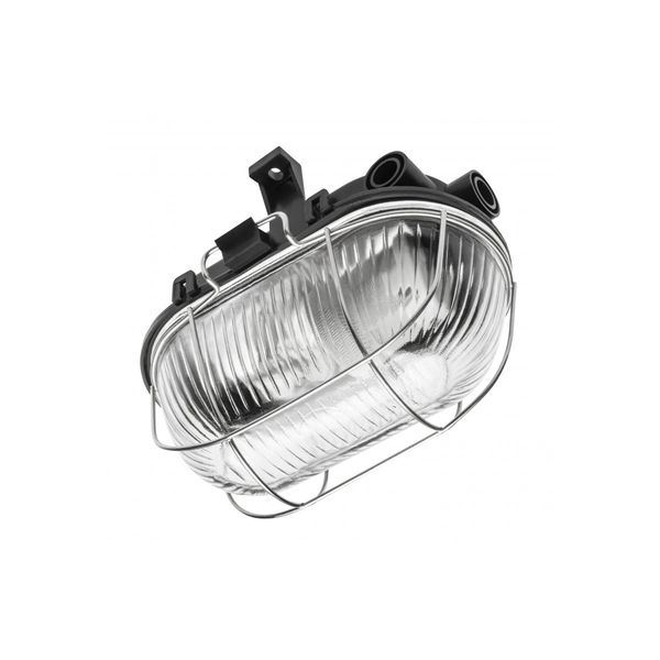 Luminaire SANGUESA for E27 lamps with protective metal mesh, max. 40 W, AC220-240V, IP54, glass shade, black image 1