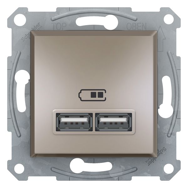 Asfora USB charger 2,1A bronze image 1