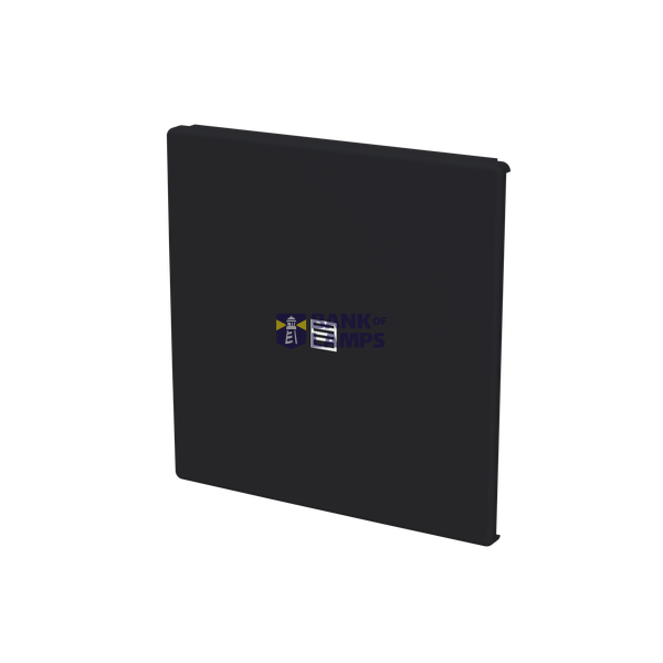 Module ESP RDU/480M4R image 2