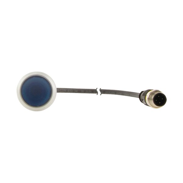 C22-DL-B-K10-24-P5 Illuminated pushbutton actuator, Flat, momentary, 1 N/O, Cable (black) with M12A plug, 4 pole, 1 m, LED Blue, Blue, Blank, 24 V AC/DC, Bezel: titanium image 9