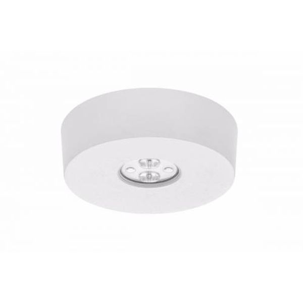 05905963550058 - Lena Lighting S.A. image 4