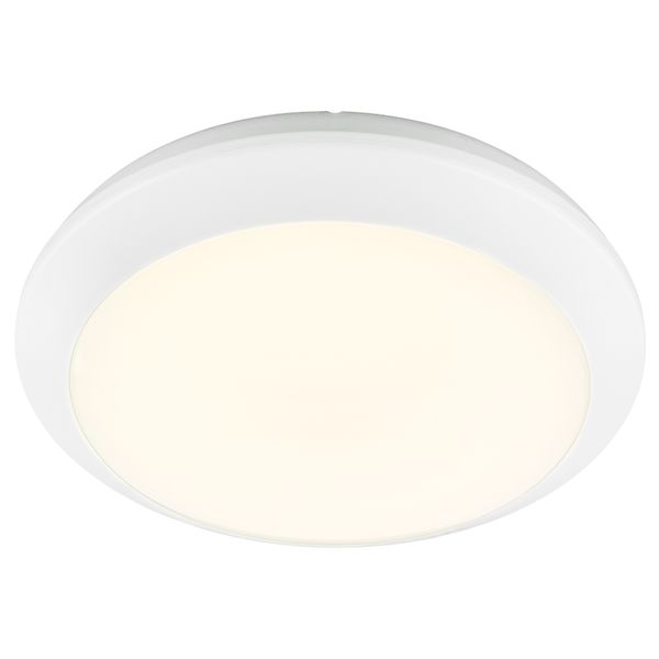 LEILA LED 300 20W 3000/4000K 2000lm 230V IP65 white image 1