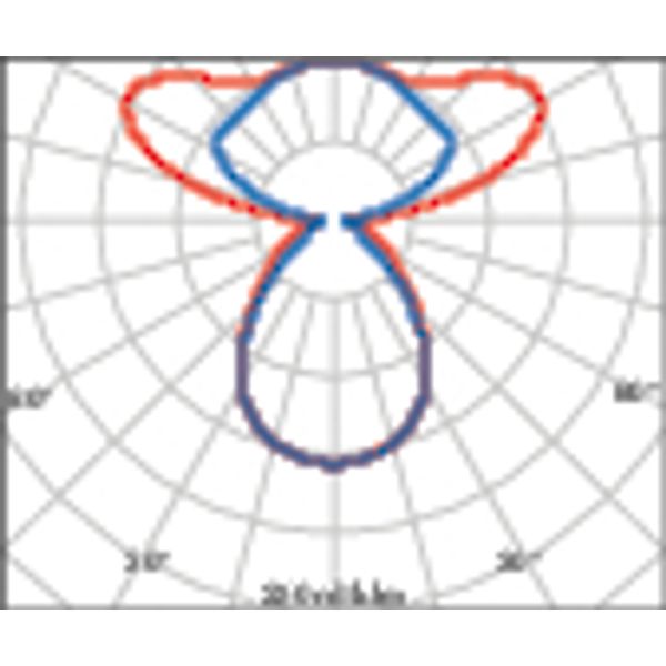 SL713+PL RXL 65 S/C 8TW WIT BT HCL MP image 7