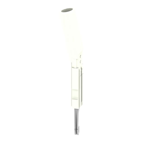 Socket (terminal), Plug-in depth: 11.5 mm, Depth: 51.3 mm image 1