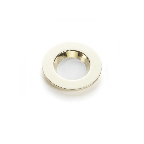 RINO decorative front cover gold image 1