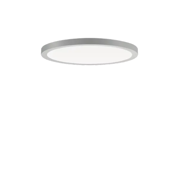 FL R+ 333 RE 8/23 S/A 830 GR9006 DALI OP image 1