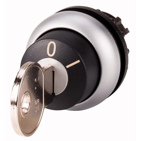 M22-WRS-MS10-A1 Key-operated actuator, maintained, 2 positions, MS10, Key withdrawable: 0, Bezel: titanium image 1