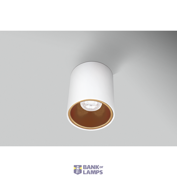 PLAFONIERA LED ESSENZA ROUND BIANCA/GOL image 1