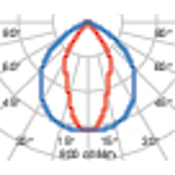 GUELL1 36 S/W 750 GR94 image 5