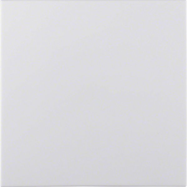 Blind plug for bus coupling unit, KNX - S.1, p. white glossy image 3