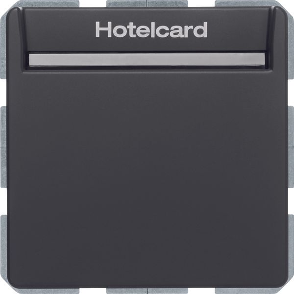 Relay switch centre plate for hotel card, Q.1/Q.3, ant. velvety, lacq. image 3