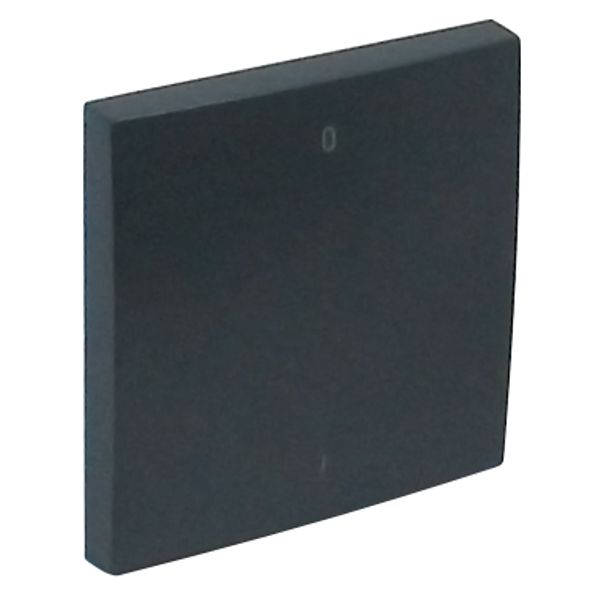 ROCKER F/TWO-POLE SWITCH GRAY image 2