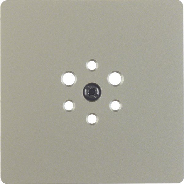 Central plate for 6pole soc. out., Accessories, stainless steel matt,  image 1