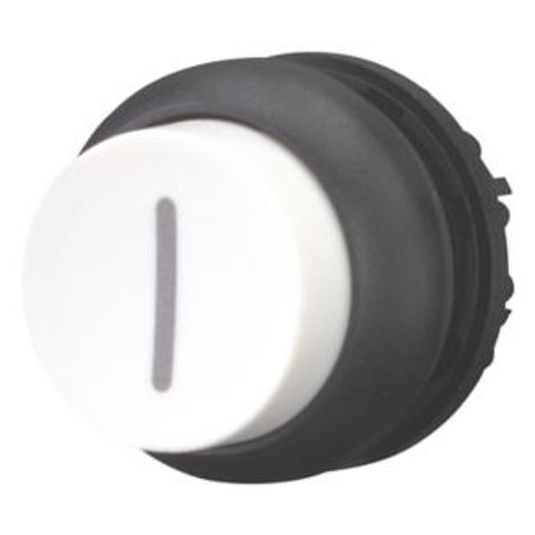 M22S-DH-W-X1 Pushbutton, RMQ-Titan, Extended, momentary, White, inscribed, Bezel: black image 2