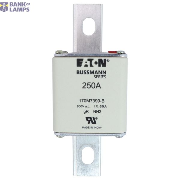 FUSE 250A 800V AC gR SIZE2 BOLTED TAG DI image 9